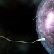 Image: Wyss Institute at Harvard University